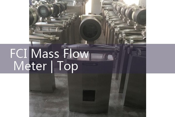 FCI Mass Flow Meter